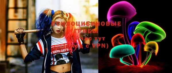 apvp Вязники